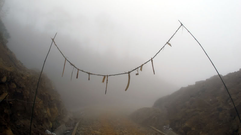 HongNgai2011373.jpg