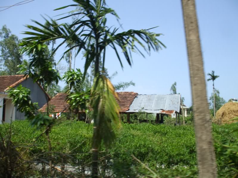 DSCF7265.jpg