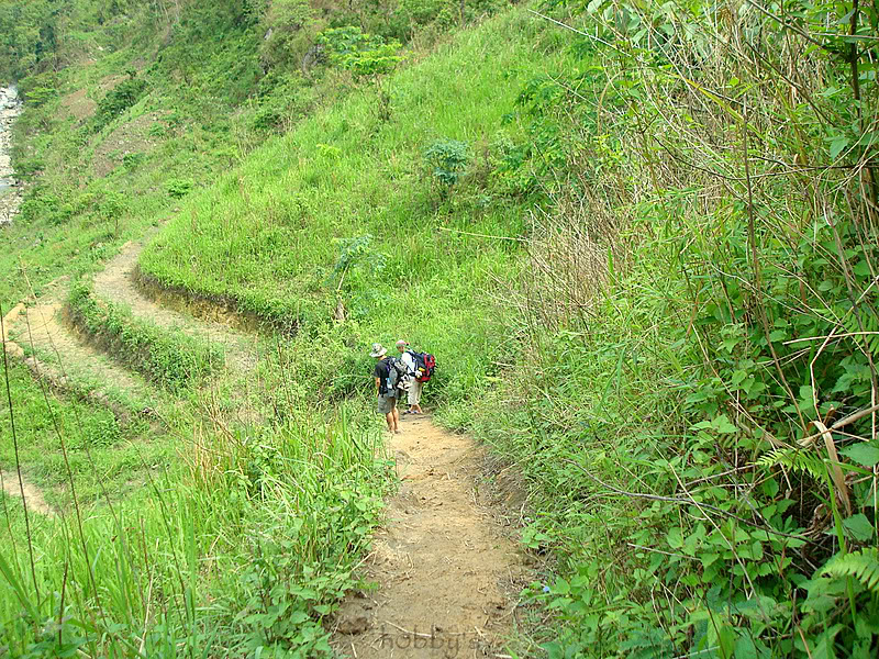 DSC08172-1.jpg