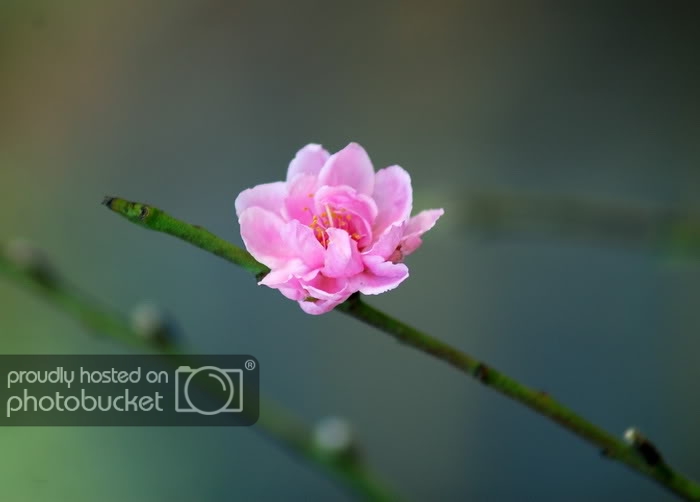 DSC_5637_resize.jpg