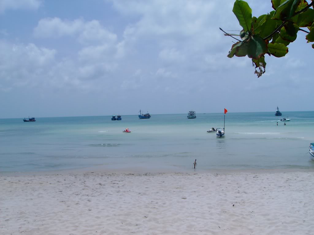 SANY4389.jpg