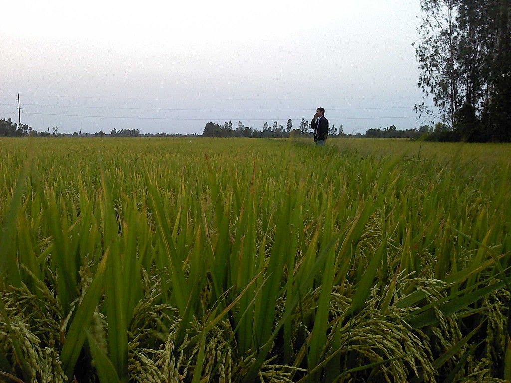 P120213_1806_zps88cd2aef.jpg
