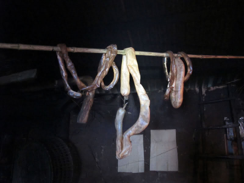 HongNgai2011525.jpg