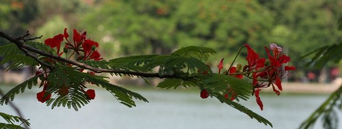 3569558329_2ddfa59a5f.jpg