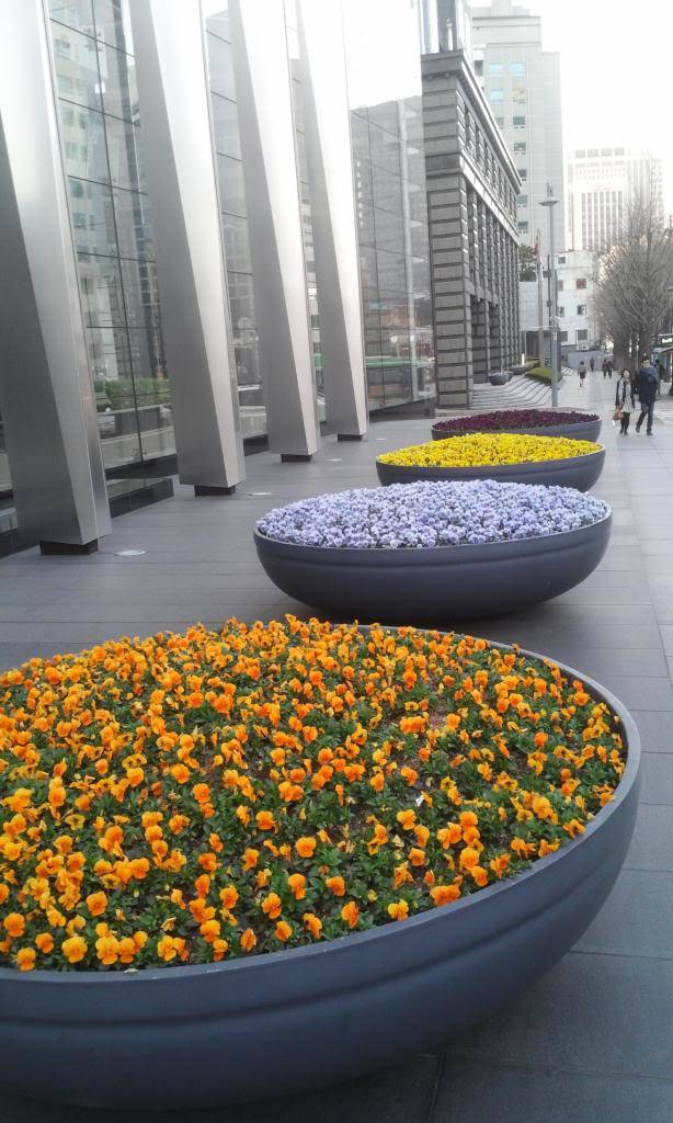 IMG_20130407_183956.jpg