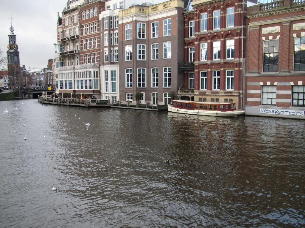 IMG_7385_zps928617bc.jpg