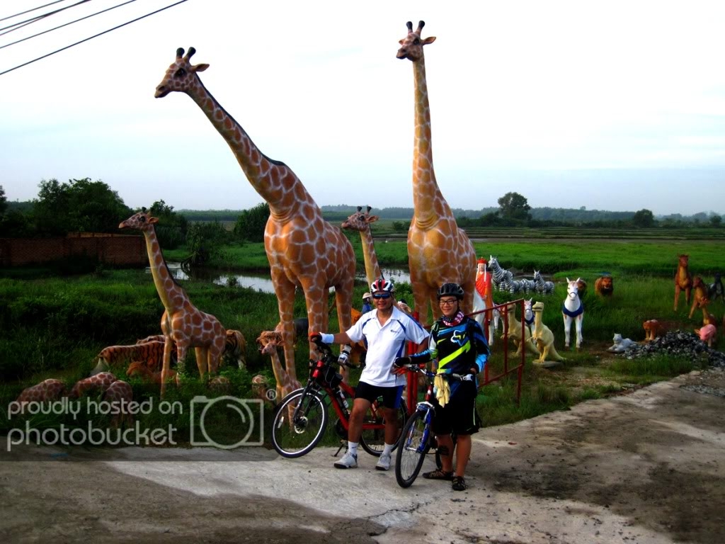 IMG_2085_zps1f670873.jpg