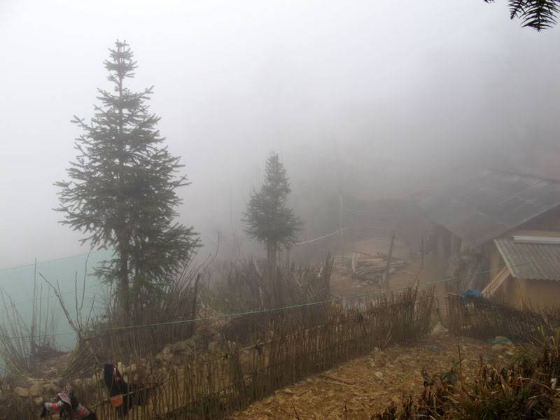 HongNgai2011498.jpg