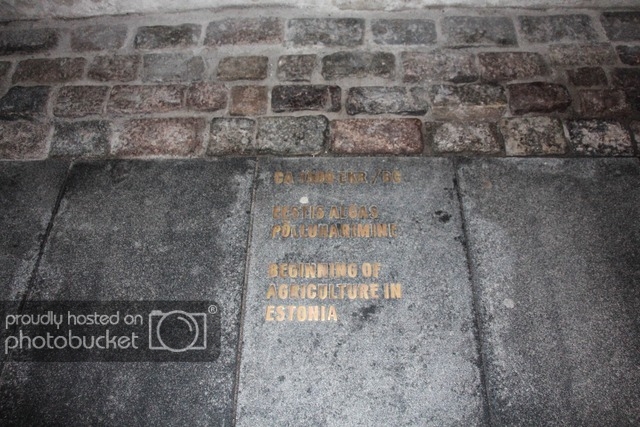image_43.jpeg