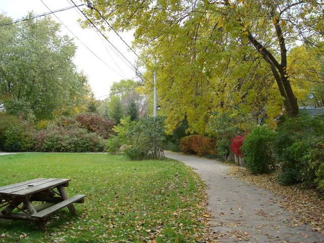 DSC05164.jpg
