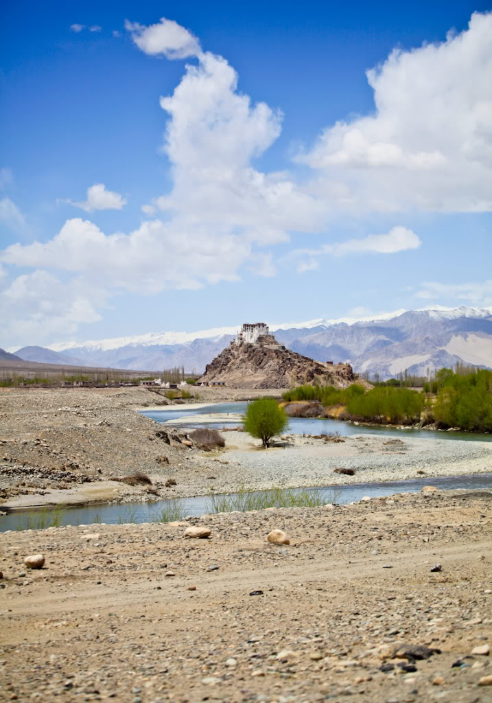 IMG_9950.jpg
