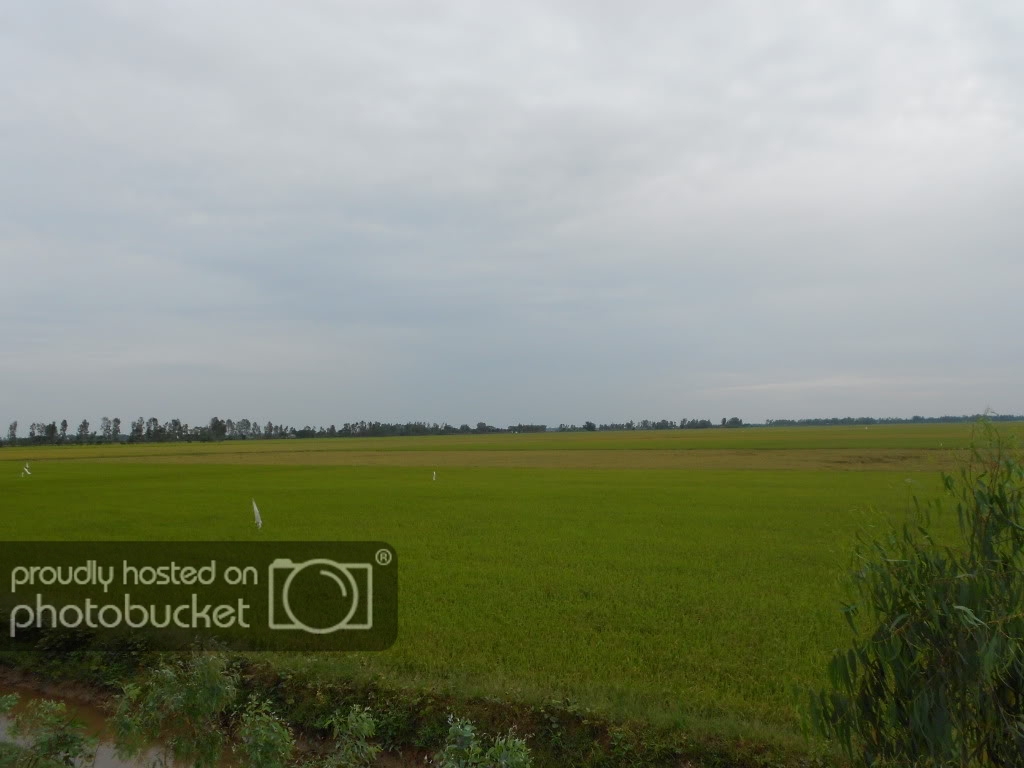 DSCN0691.jpg