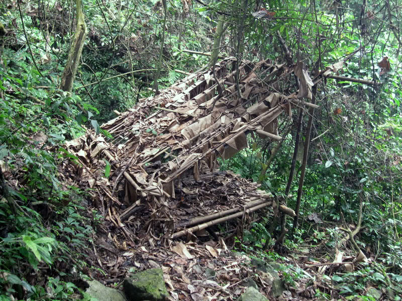 Xuanson2009248.jpg