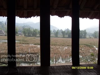SDC11877.jpg