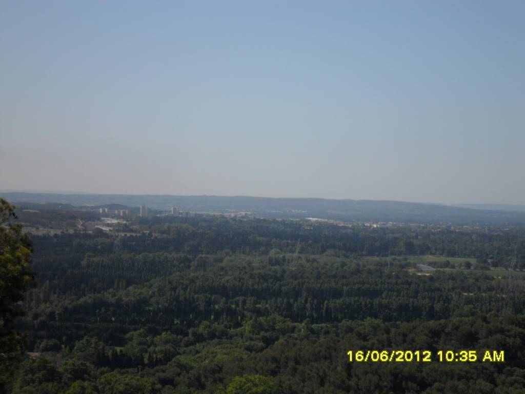 SAM_0370.jpg