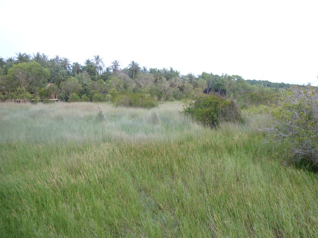 P1080452.jpg