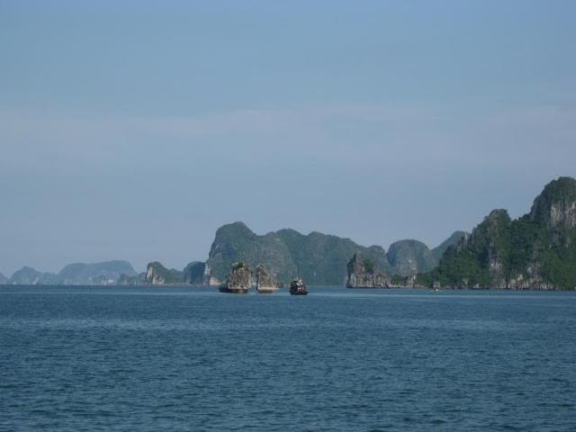 IMG_6984.jpg