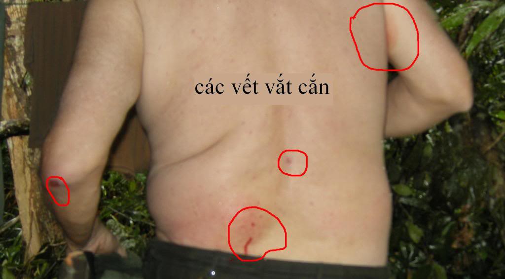 vatcan.jpg