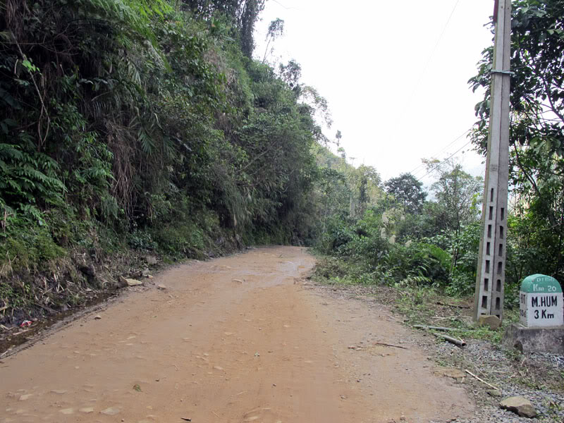 HongNgai2011203.jpg