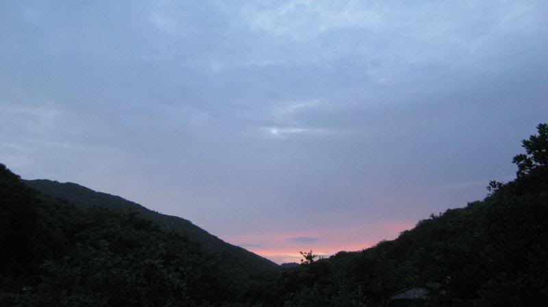 IMG_4561.jpg