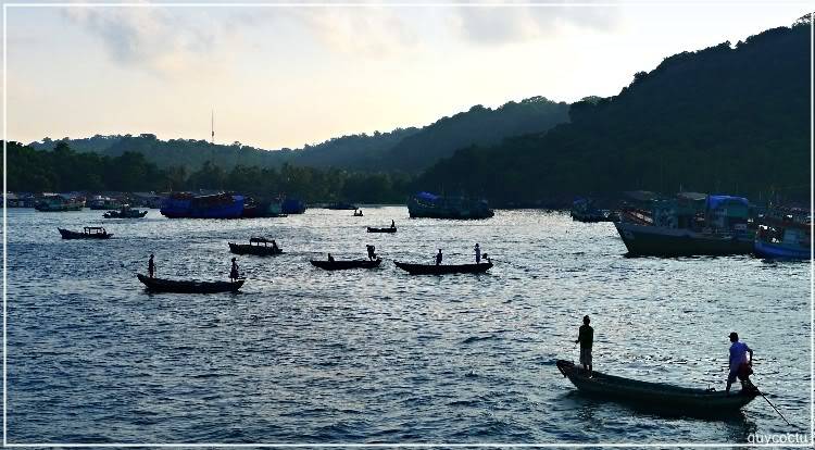 ThoChau_Quycoctu_P116.jpg