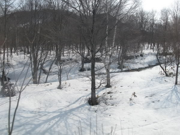 IMG_2946_resize.jpg