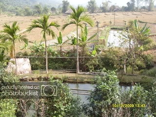 SDC11947.jpg