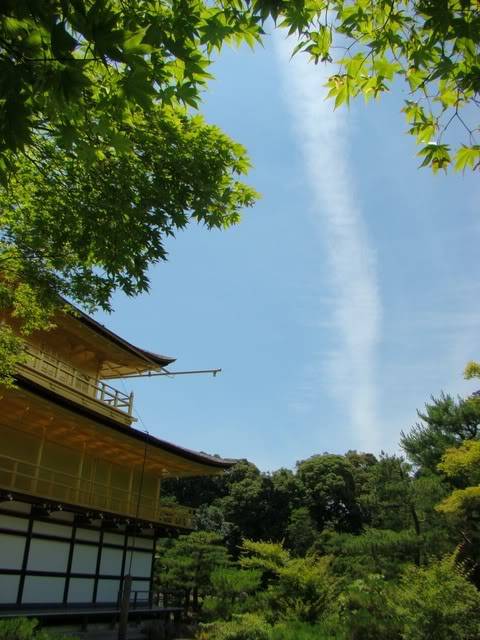 DSC00206.jpg