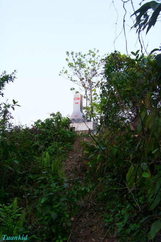SDC16637.jpg