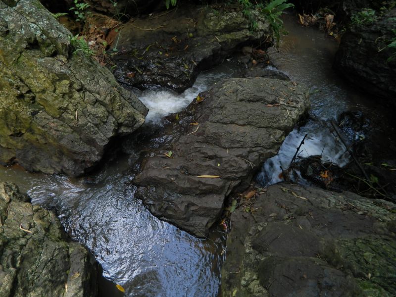 DSCN1740.jpg