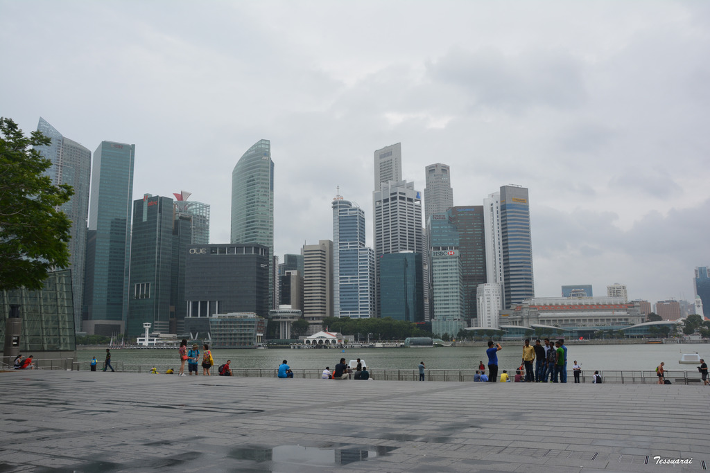 DSC_0342.jpg