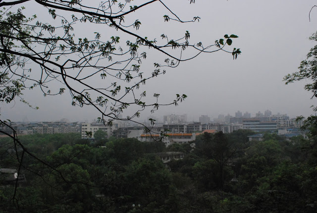 DSC_1843.JPG