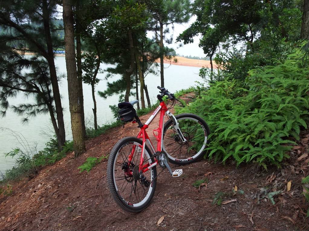 2011-10-15122808-1.jpg