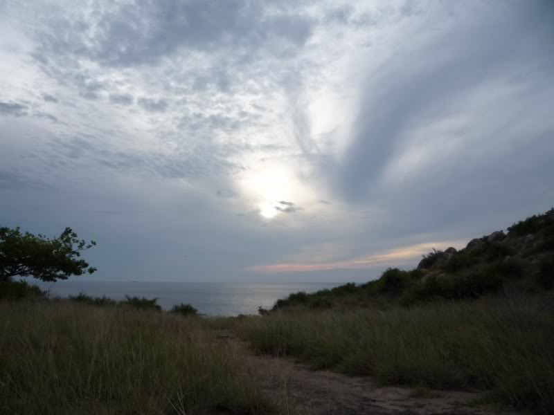 P1010643800x600.jpg