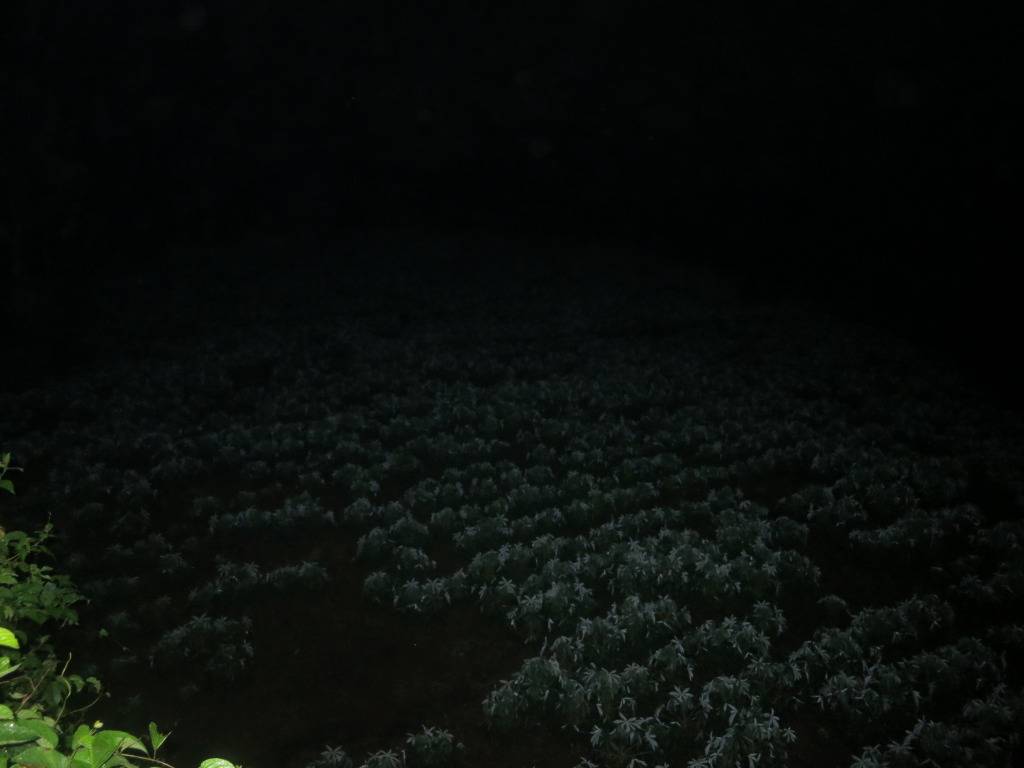 xedap035.jpg