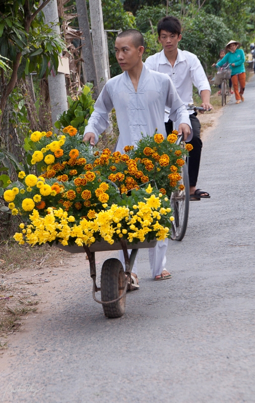 BenTre2-7450.jpg