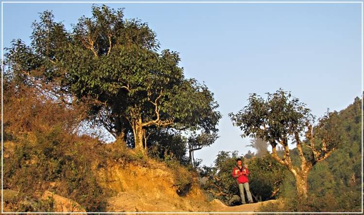 Checothu36.jpg