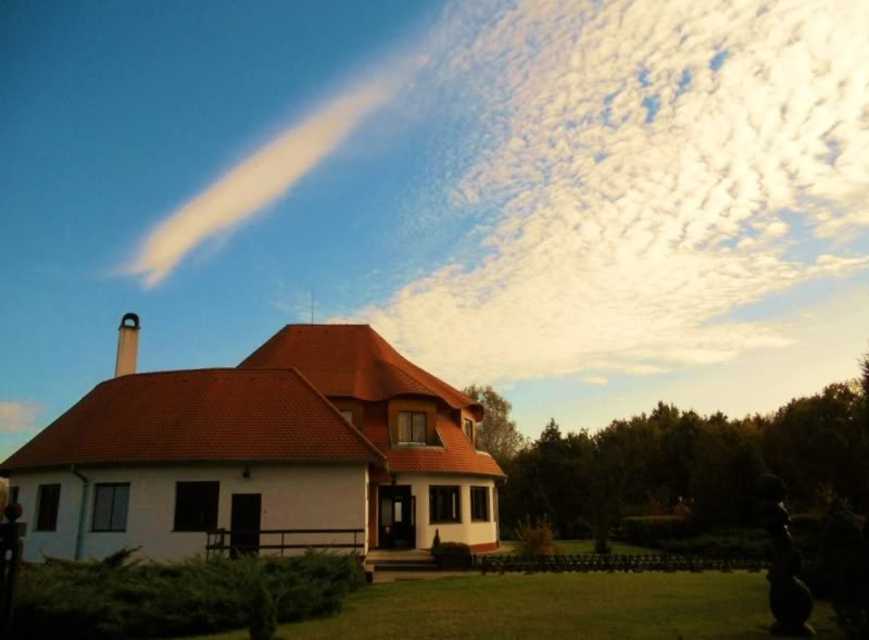 DSCN1172.jpg