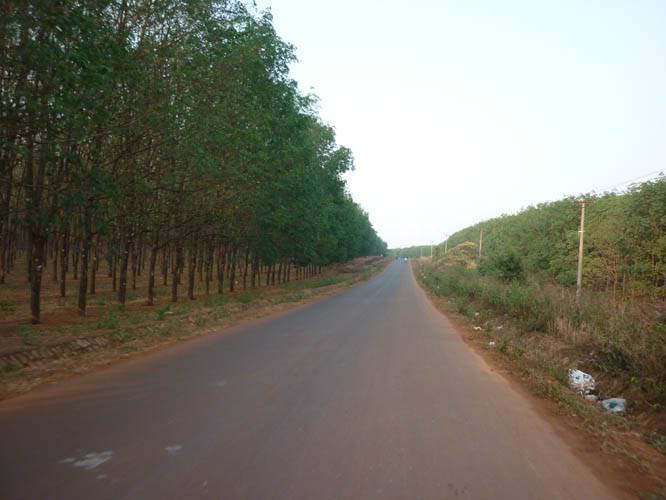 P1030250.jpg