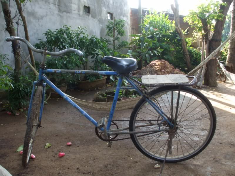 DSCF7074.jpg