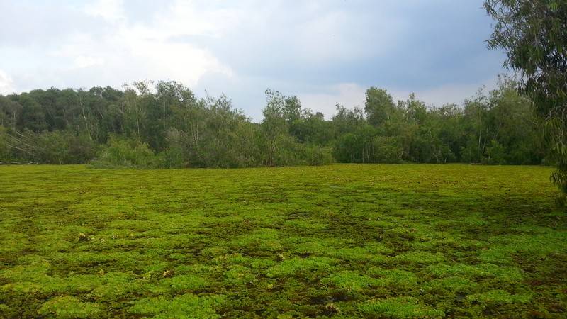 20121129_153840.jpg
