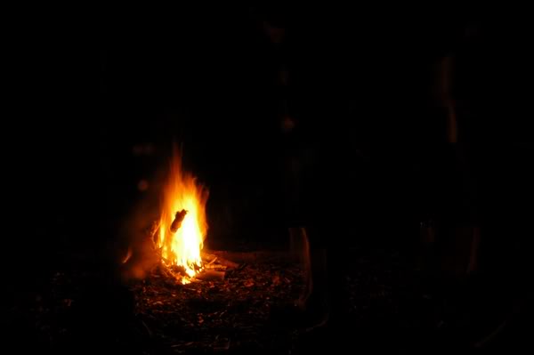 DSC_5420.jpg