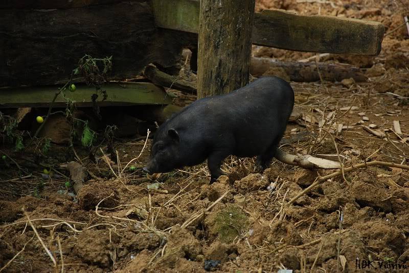 DSC_0632.jpg