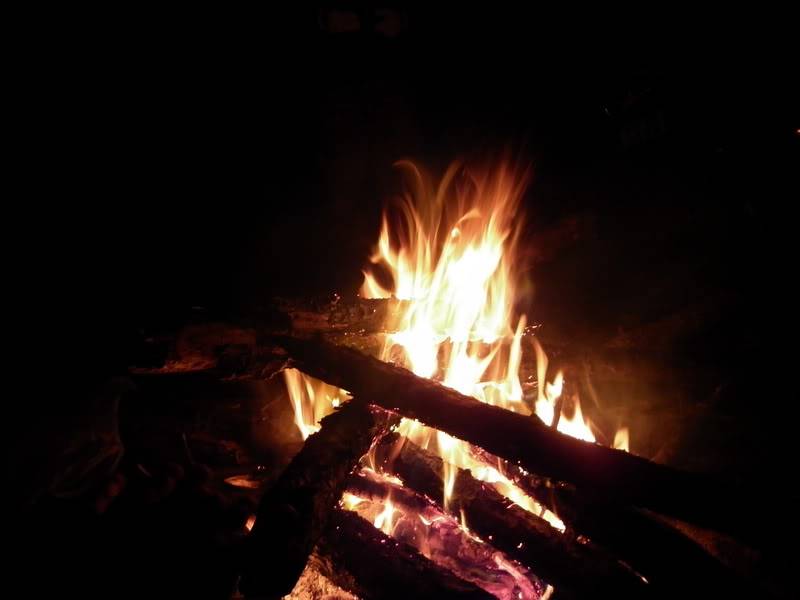 P1000587.jpg