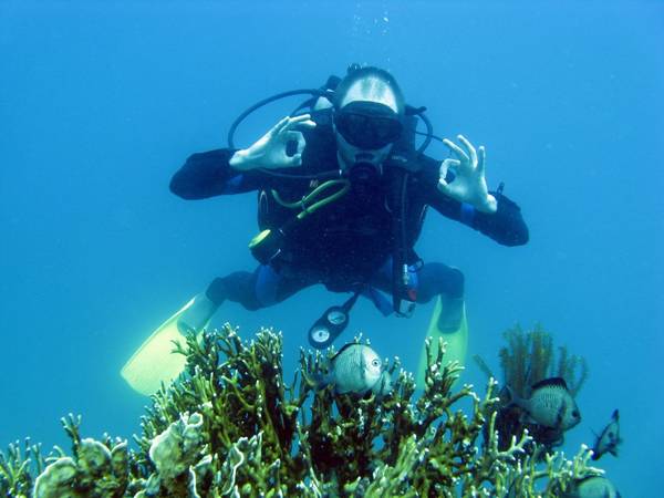 vietnamdive-1024x768.jpg