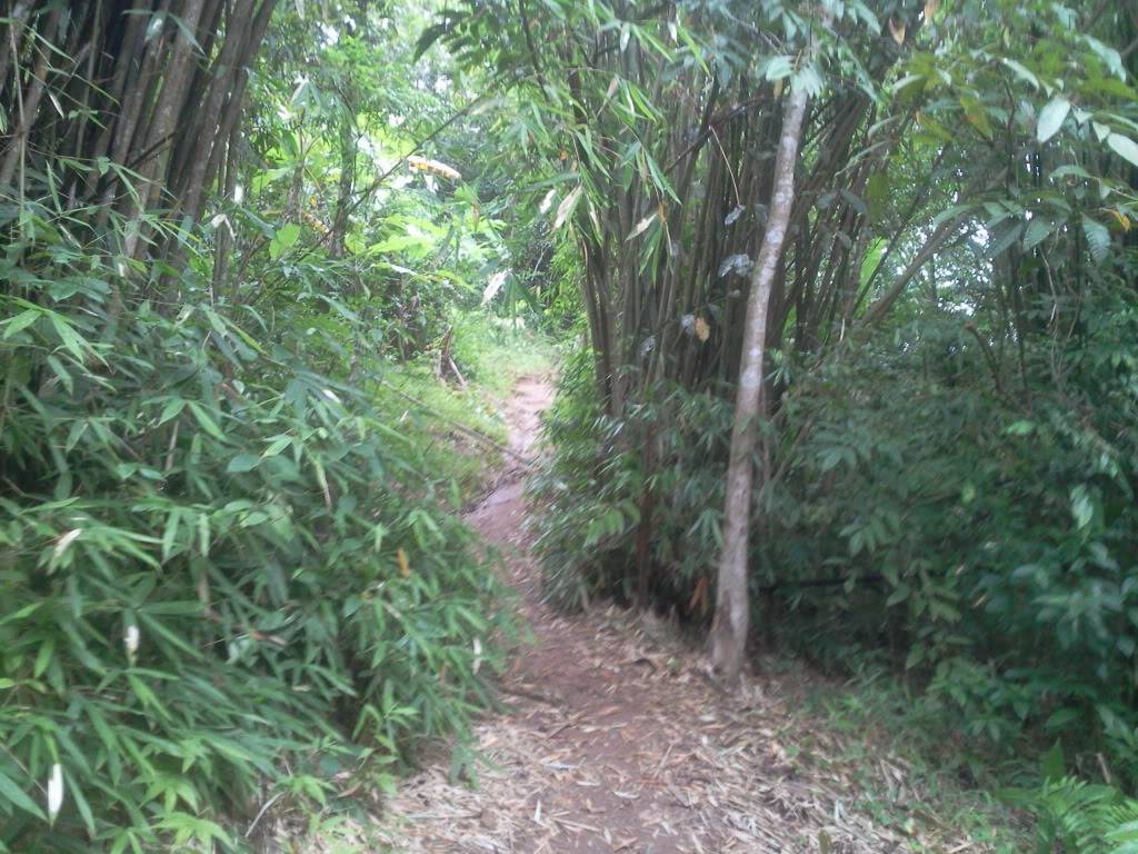 Photo0817.jpg