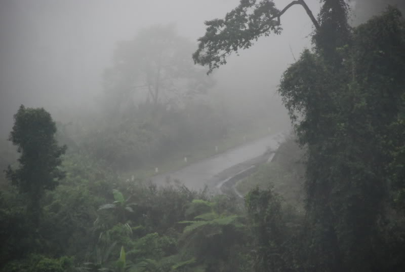 DSC_0300.jpg