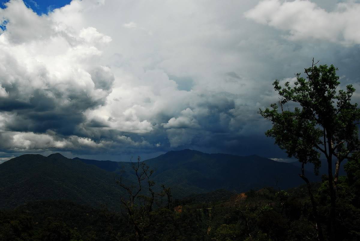 DSC_0263.jpg