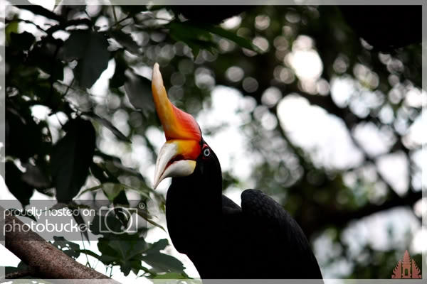birdpark41.jpg