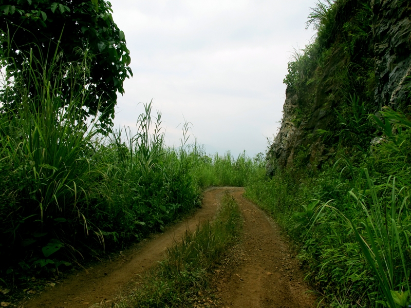 IMG_5404.jpg